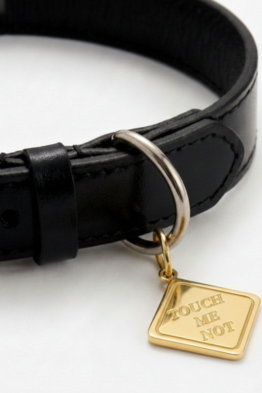 Touch Me Not neckpiece