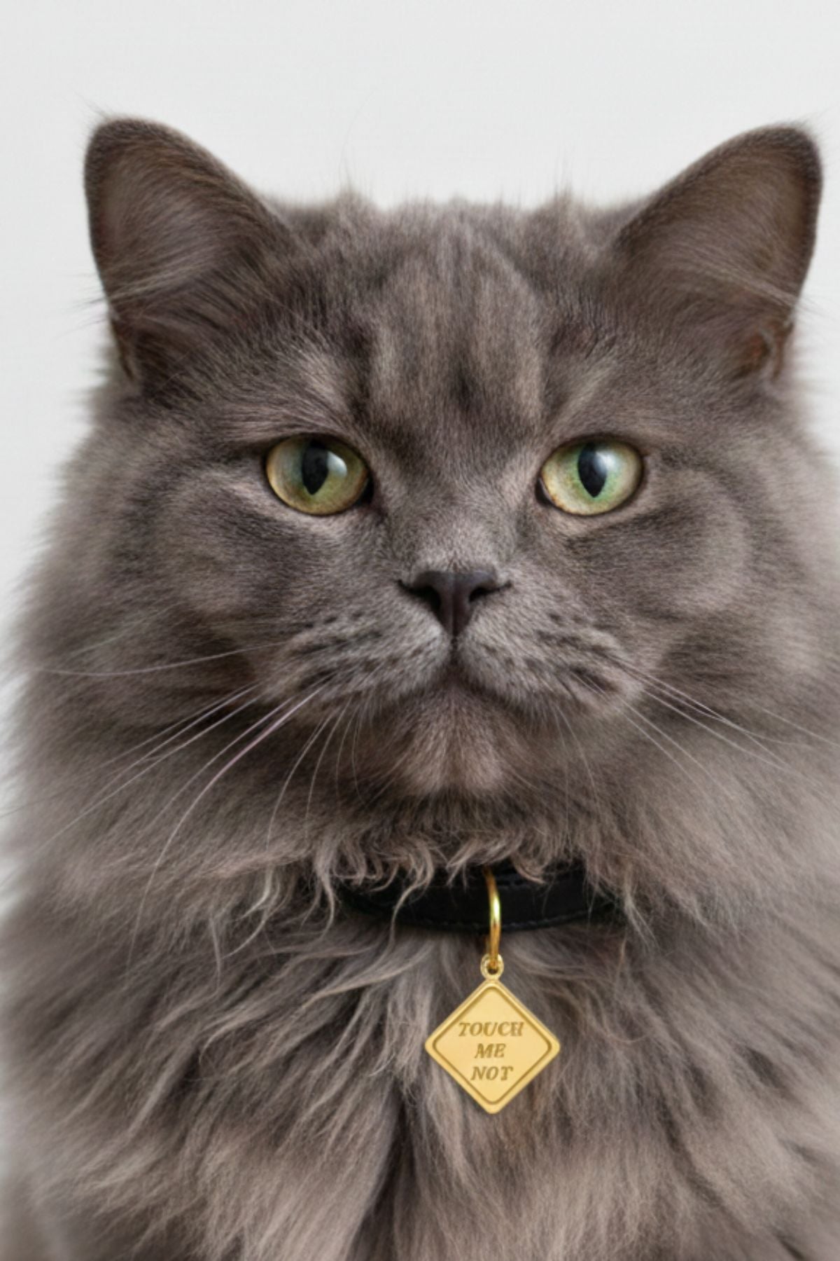 Touch Me Not neckpiece